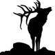 Illustration for article titled The Downward Spiral Of Elks, Part 1